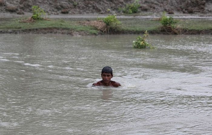 Boy saves a baby fawn, Bangladesh