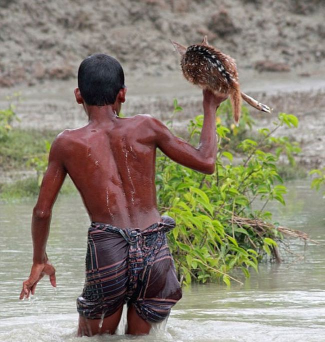 Boy saves a baby fawn, Bangladesh