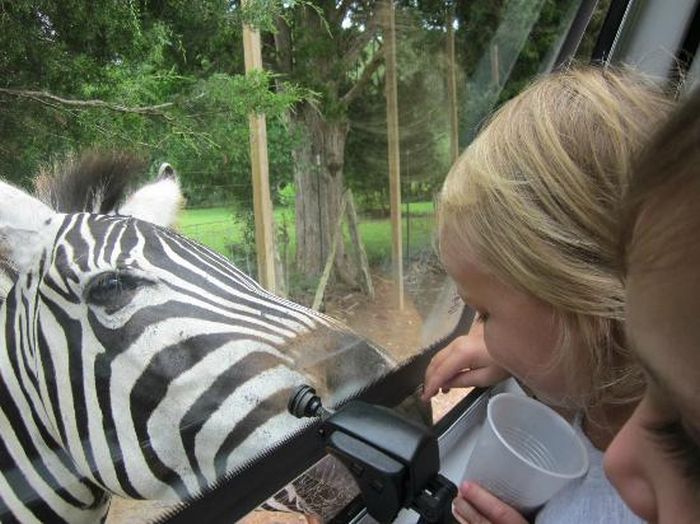 Harmony Park Safari, Huntsville, Alabama, United States