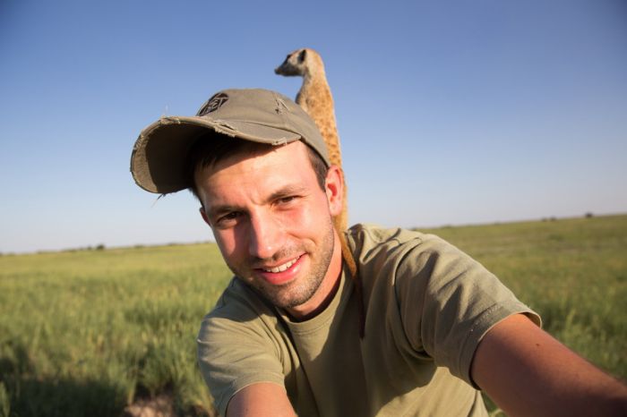 Meerkat selfies by Will Burrard-Lucas