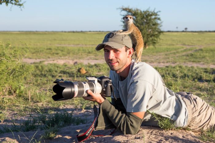 Meerkat selfies by Will Burrard-Lucas