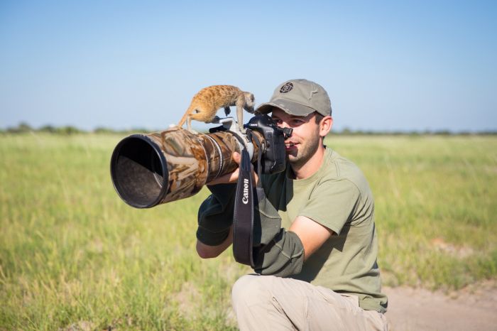 Meerkat selfies by Will Burrard-Lucas