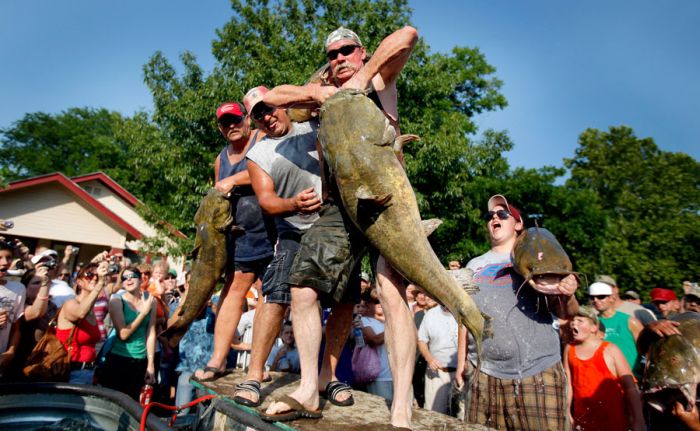 catching a giant catfish