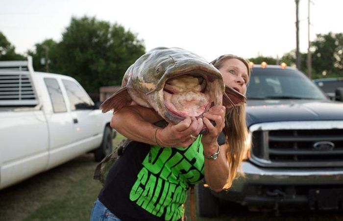 catching a giant catfish