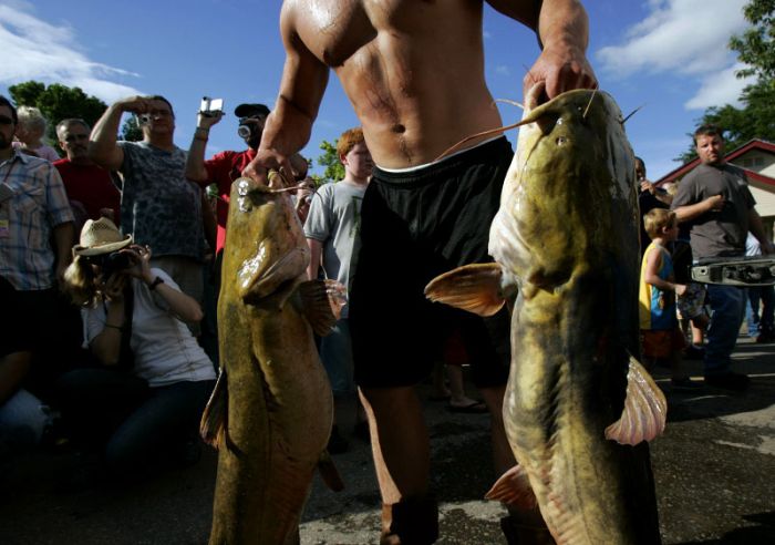 catching a giant catfish