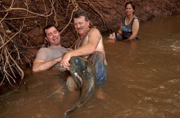 catching a giant catfish