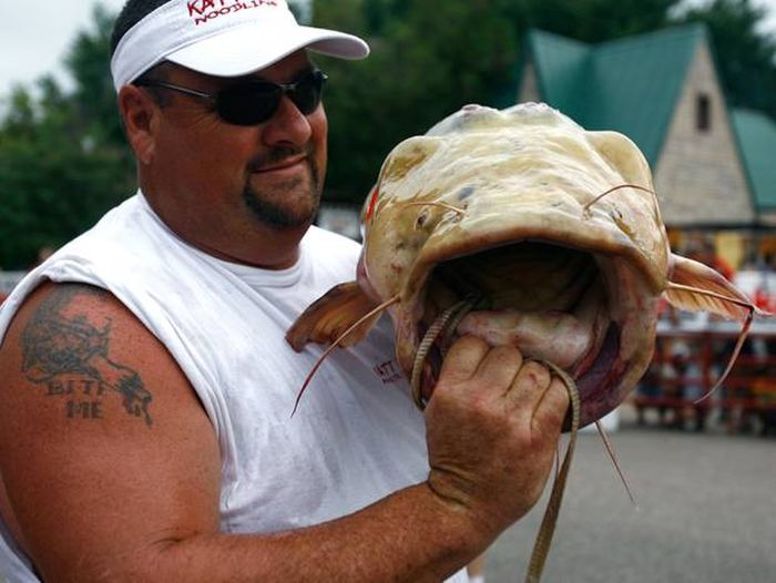 catching a giant catfish