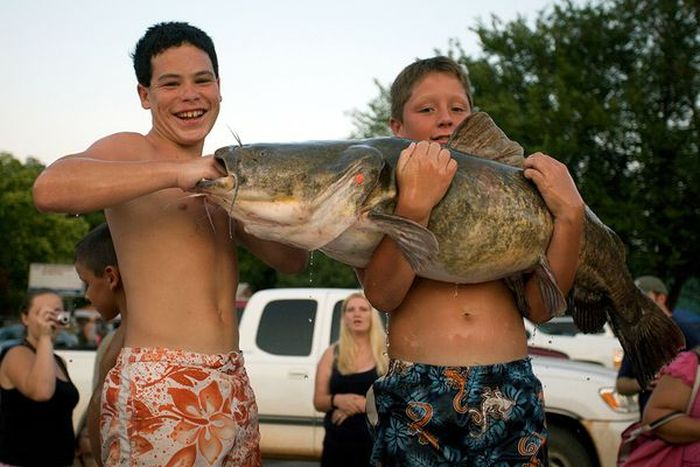 catching a giant catfish