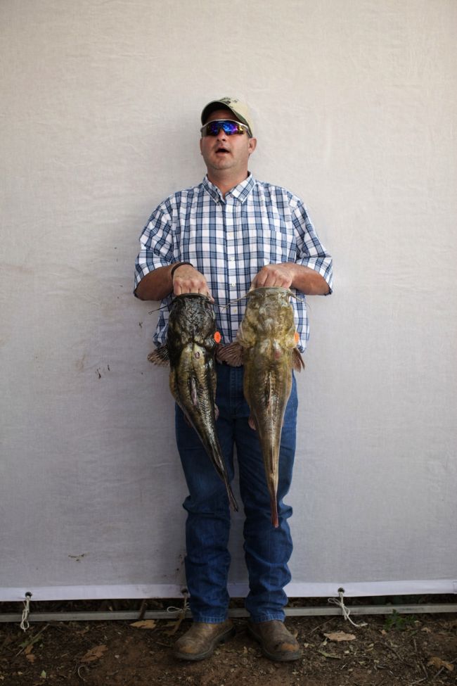 catching a giant catfish