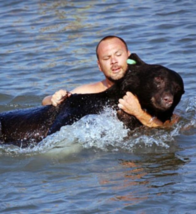 saving a bear from drowning