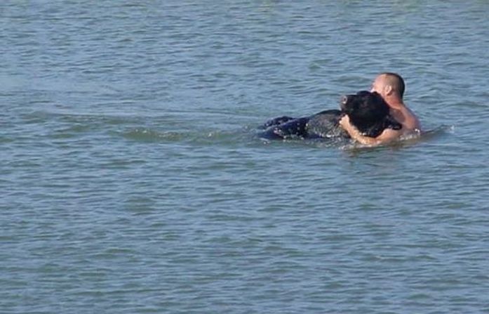 saving a bear from drowning