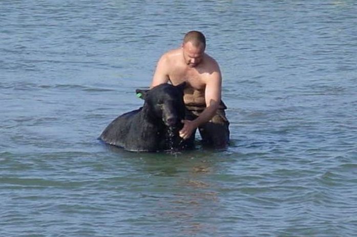 saving a bear from drowning