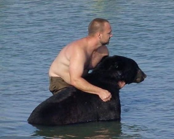 saving a bear from drowning