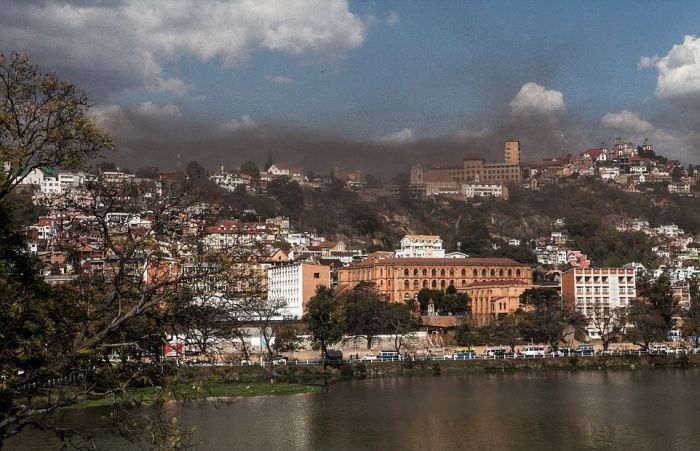 Swarm of locusts, Antananarivo, Madagascar