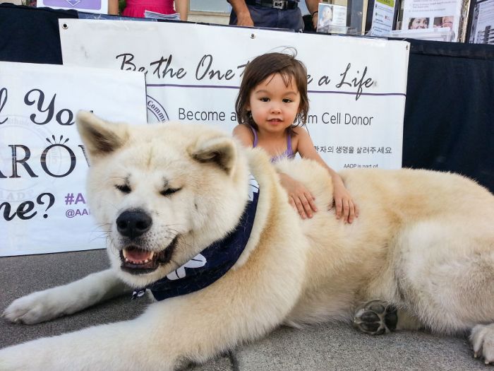 dog and the child