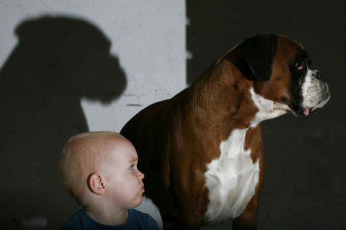 dog and the child