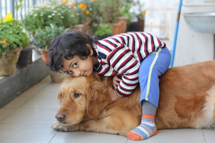 dog and the child