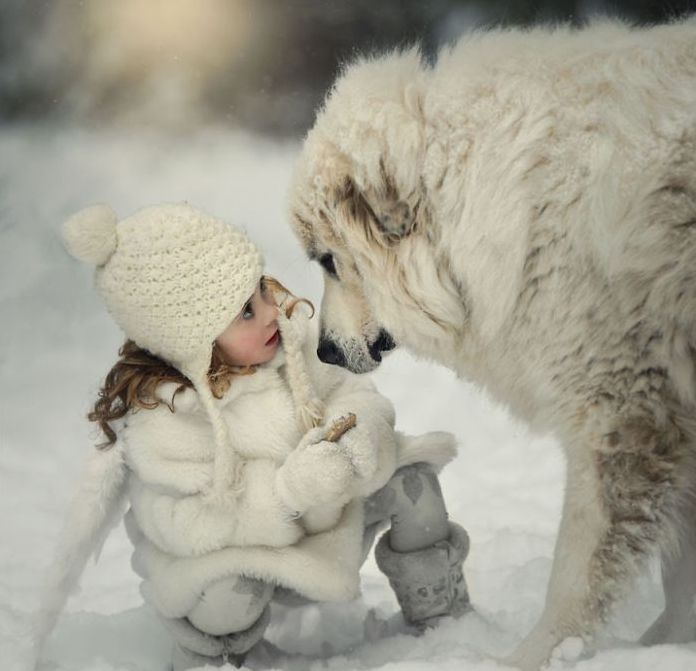 dog and the child