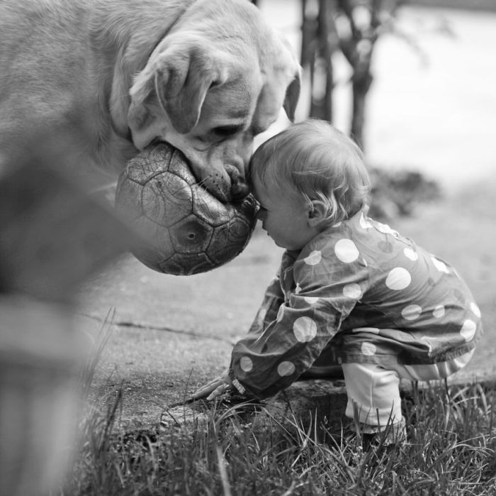 dog and the child