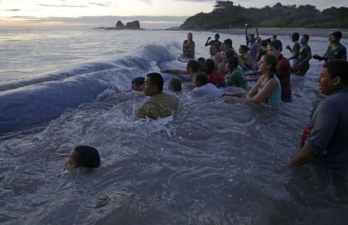 Saving a whale, Cetacean stranding, Popoyo Beach, Tola municipality, Rivas Department, Nicaragua