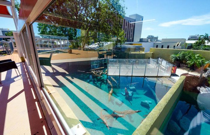 Cage of Death, Crocosaurus Cove Park, Darwin City, Australia