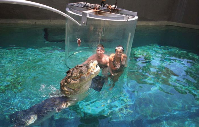 Cage of Death, Crocosaurus Cove Park, Darwin City, Australia