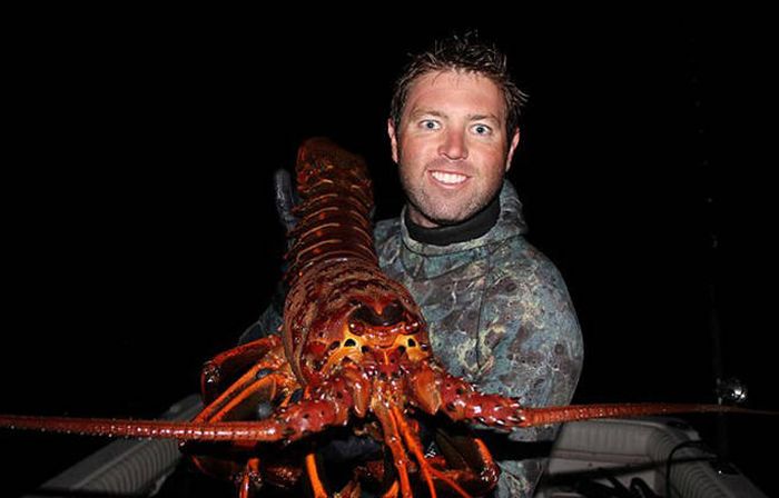 Giant lobster crustacean by David Galante