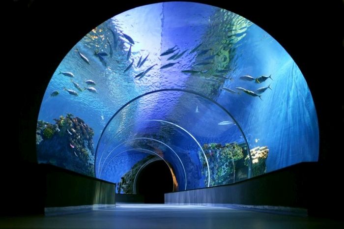 The Blue Planet, National Aquarium Denmark, Kastrup, Denmark