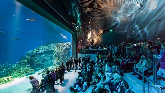 The Blue Planet, National Aquarium Denmark, Kastrup, Denmark