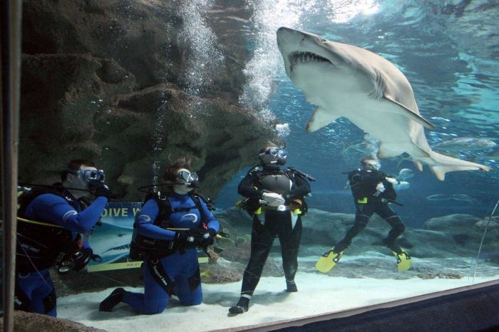 The Blue Planet, National Aquarium Denmark, Kastrup, Denmark