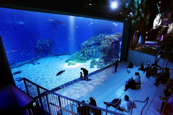 The Blue Planet, National Aquarium Denmark, Kastrup, Denmark