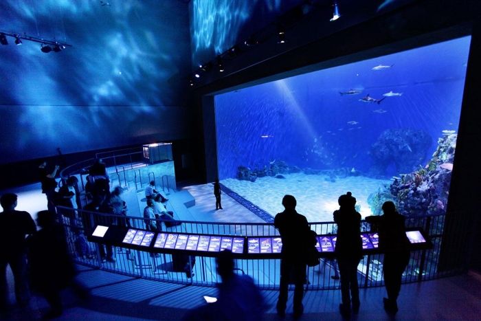 The Blue Planet, National Aquarium Denmark, Kastrup, Denmark