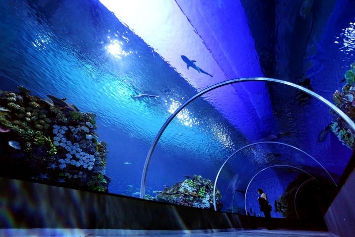 The Blue Planet, National Aquarium Denmark, Kastrup, Denmark