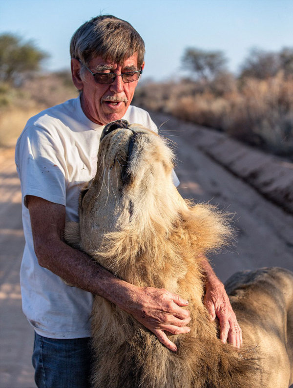 Lion raised and friendship with Frikkie Von Solms