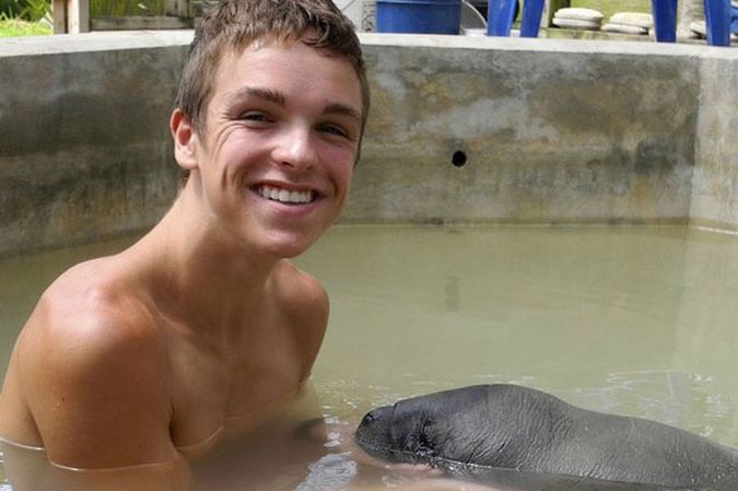 manatee sea cow rescue