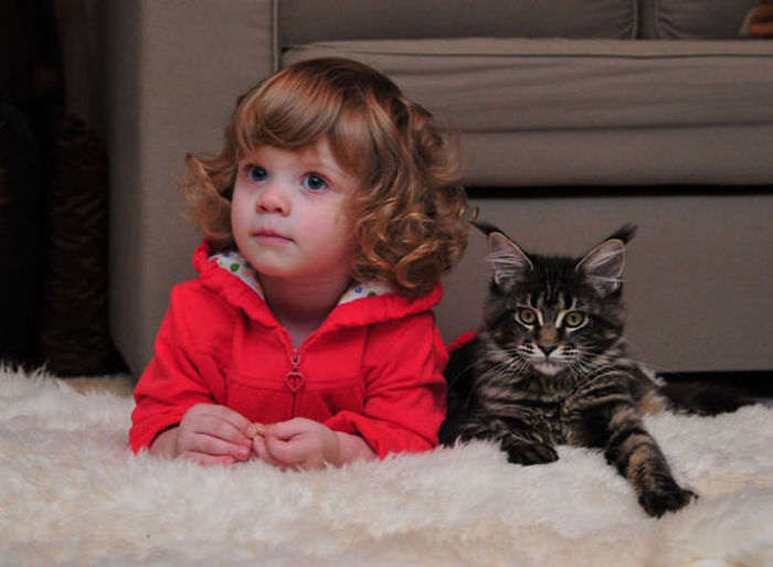 cat and the child