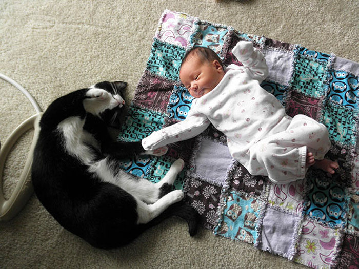 cat and the child