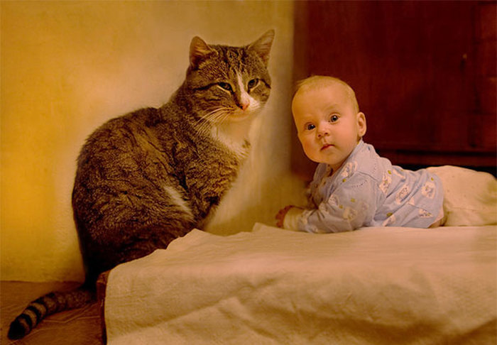 cat and the child