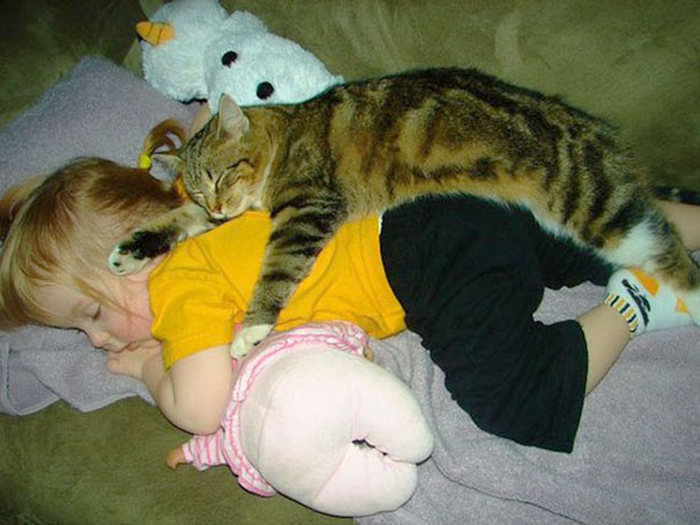 cat and the child