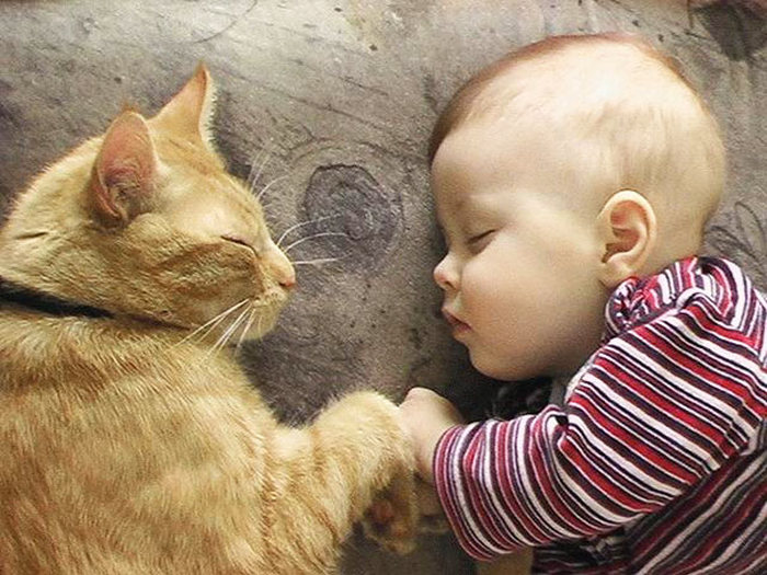 cat and the child