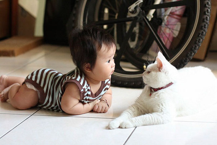 cat and the child