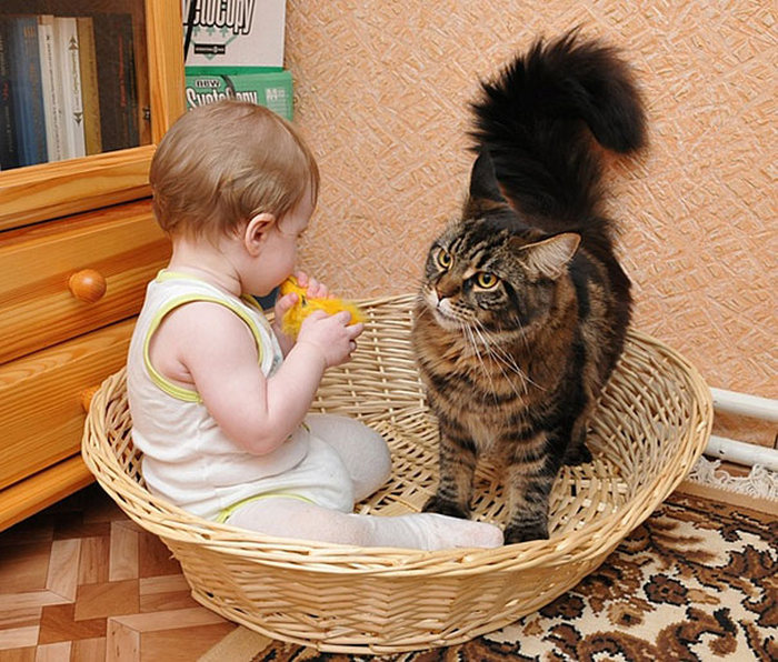 cat and the child