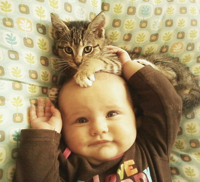 cat and the child