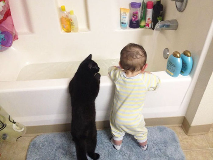 cat and the child