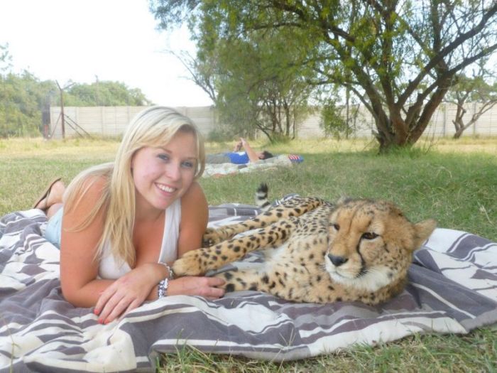 girl with a cheetah