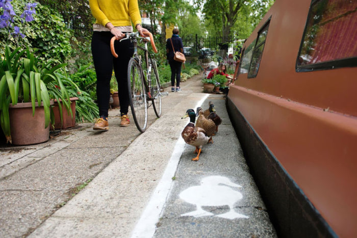 Duck lanes by The Canal & River Trust