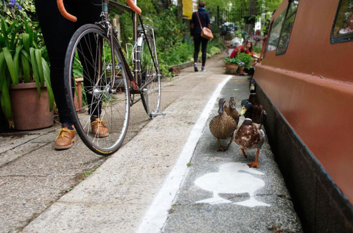 Duck lanes by The Canal & River Trust