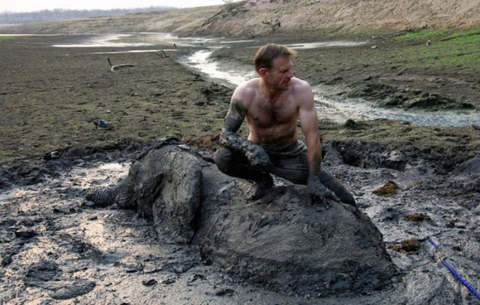 elephant rescued from the mud