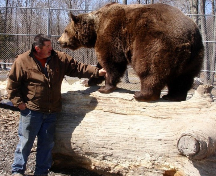 man living with orphaned bears