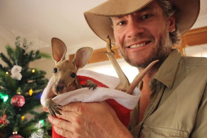 Rescuing kangaroos, Kangaroo Dundee, Chris Brolga Barns